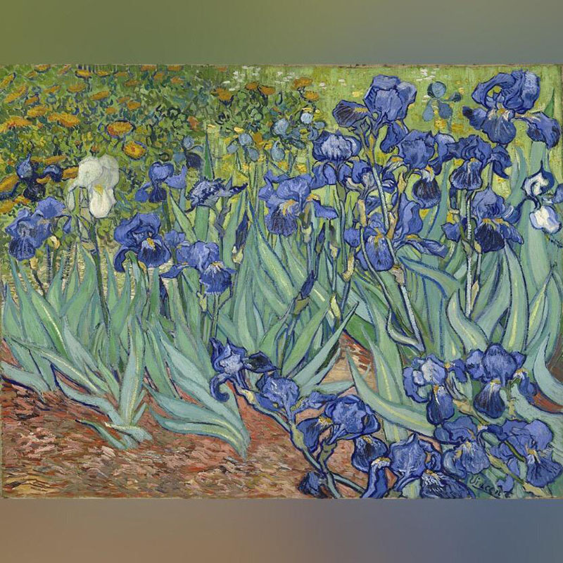 تابلو Irises اثر ون گوک
