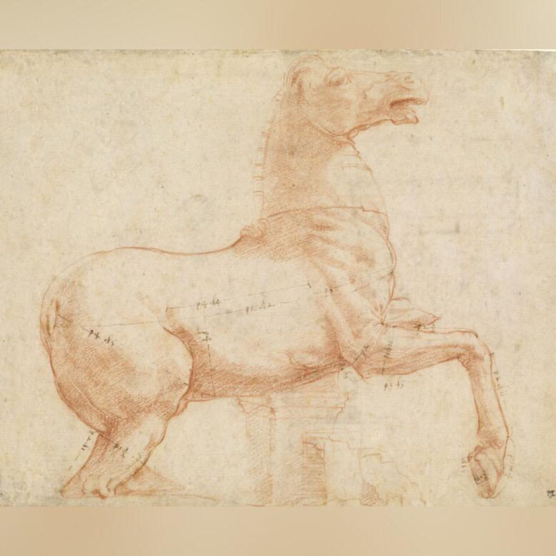 Raphael, Horse of the ancient Dioscuri group on the Quirinal Hill (c.1513).