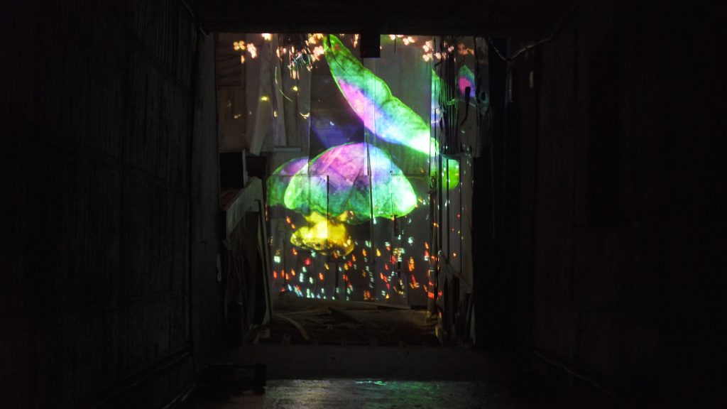 teamLab, Butterflies Dancing in the Depths of the Underground Ruins, Transcending Space (2019). © teamLab, courtesy Pace Gallery.