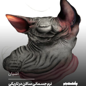 نرمجسمانیِ ساکن در تاریکی نرمجسمانیِ ساکن در تاریکی