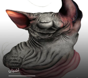 نرم‌جسمانیِ ساکن در تاریکی