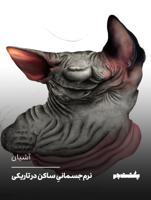 نرم‌جسمانیِ ساکن در تاریکی