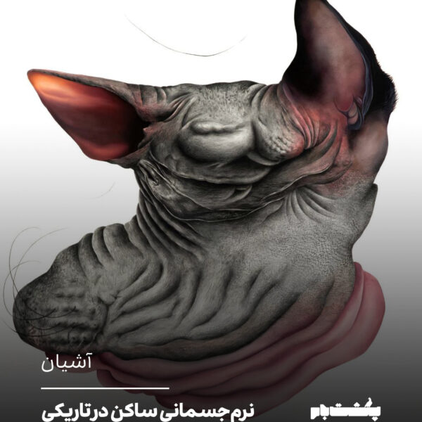 نرم‌جسمانیِ ساکن در تاریکی