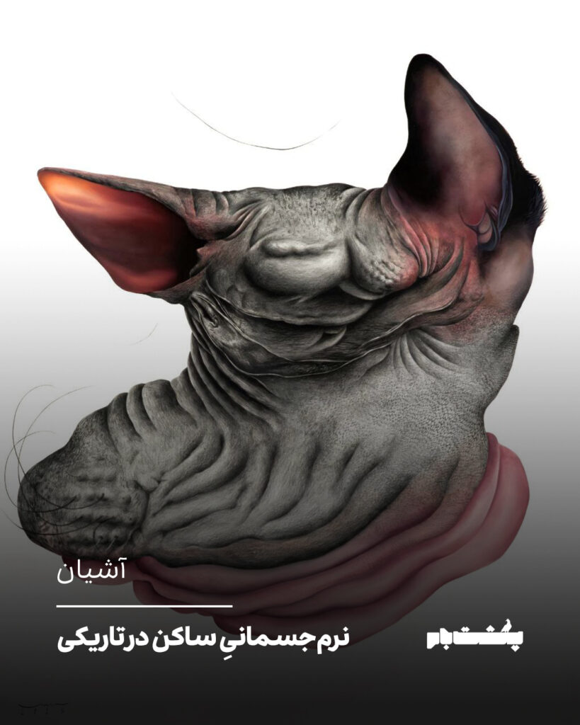 نرم‌جسمانیِ ساکن در تاریکی