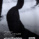 ردی از پلان و نگاه سینمایی