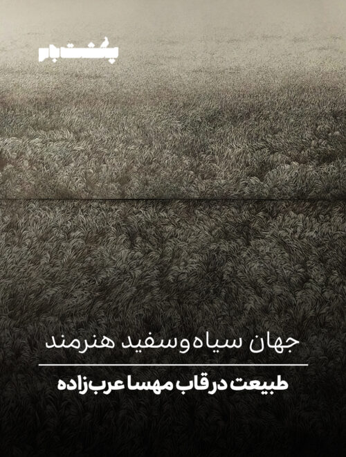 طبیعت در قاب مهسا عرب‌زاده