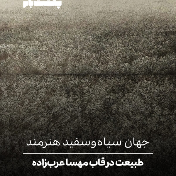 طبیعت در قاب مهسا عرب‌زاده