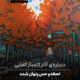 درباره‌ی آثار کامیار کفایی