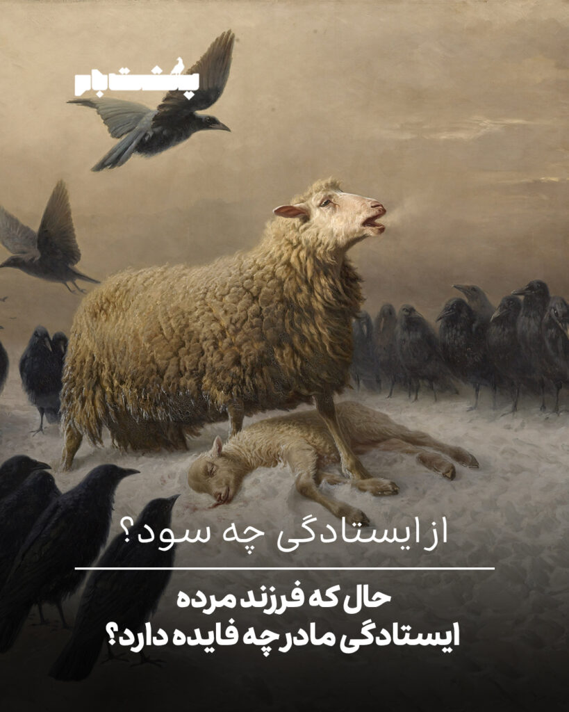 August Friedrich Schenck